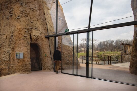 Lewa Savanne - Zoo Zürich (Switzerland)