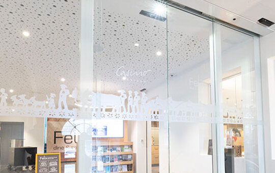 record STA 20 Frameless – la modèle sand cadre