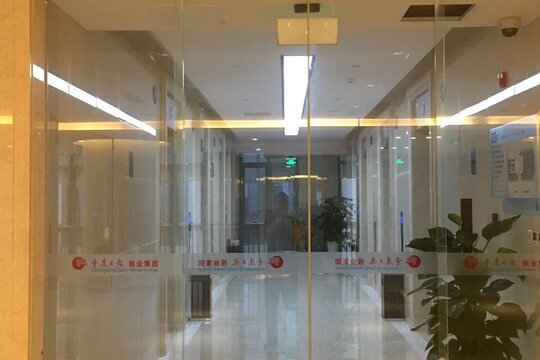 Chongqing Daily (China)